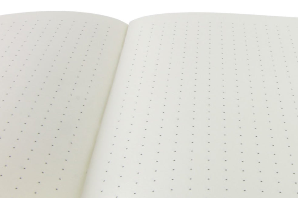 Notebook "NEON KORALLE"