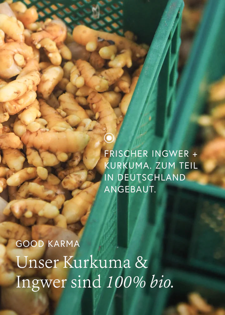 Ayurveda natürlicher kräuterauszug