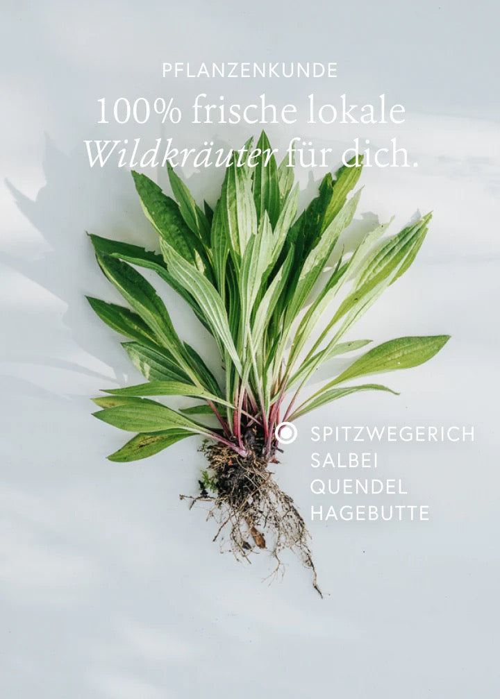 Immun Wildkräuterauszug