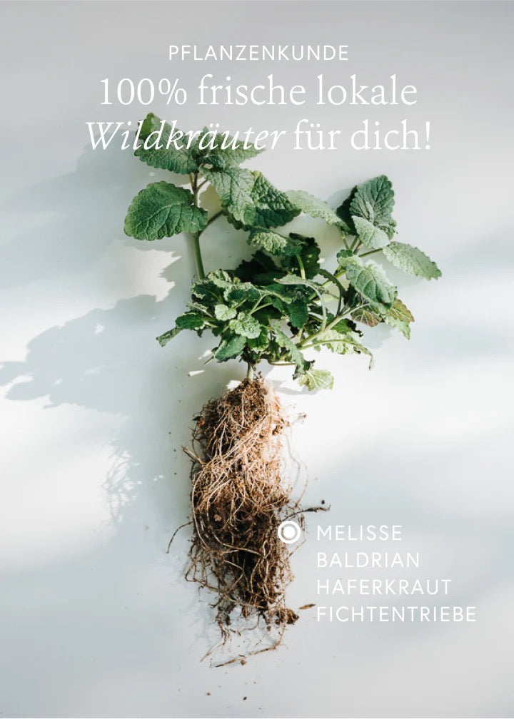 Ruhe Wildkräuterauszug