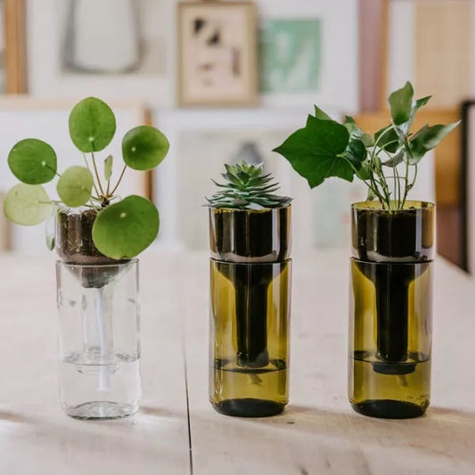 Pflanzgefäß selbstbewässernd - self watering bottle