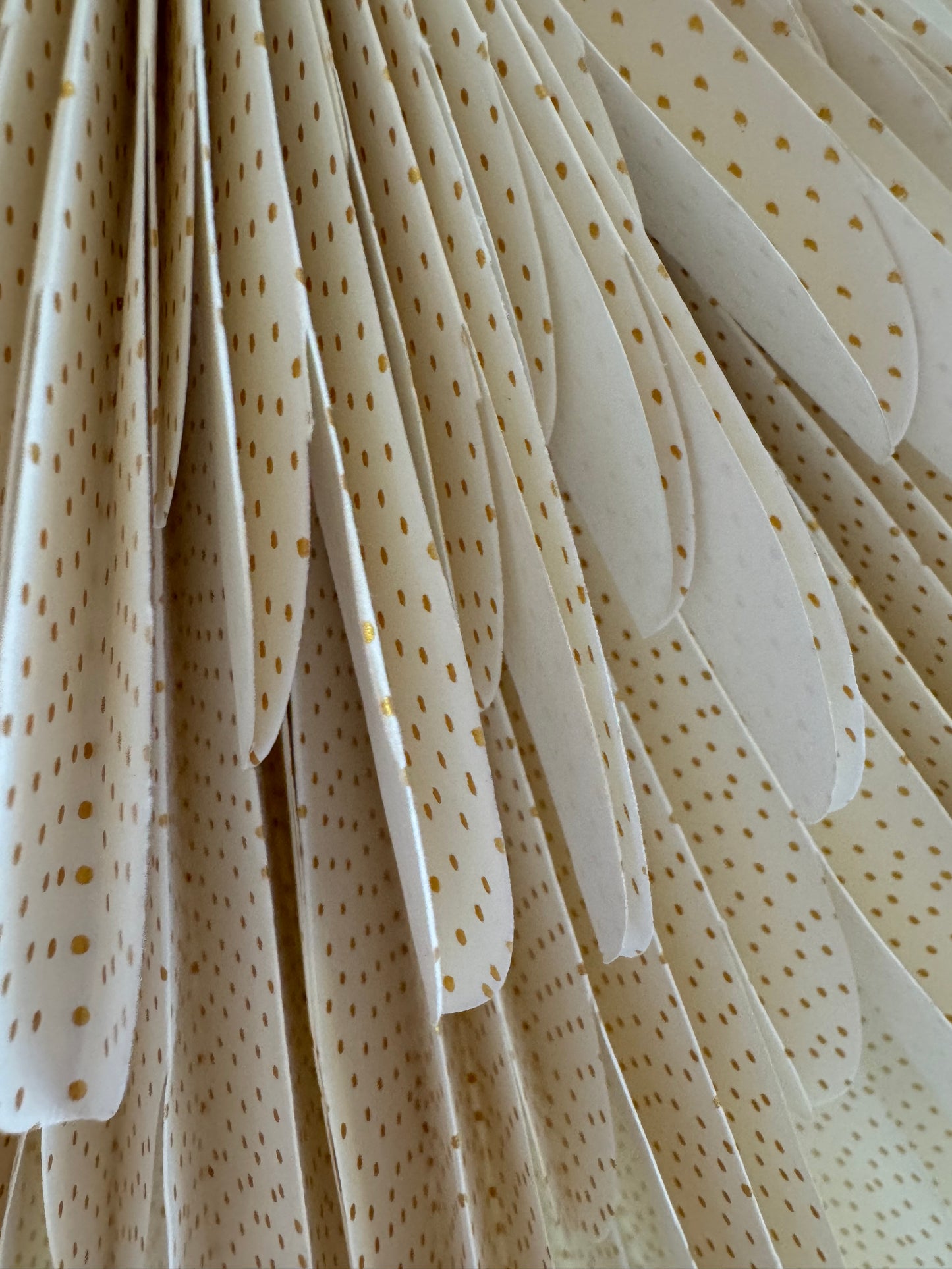 Großer Papierstern