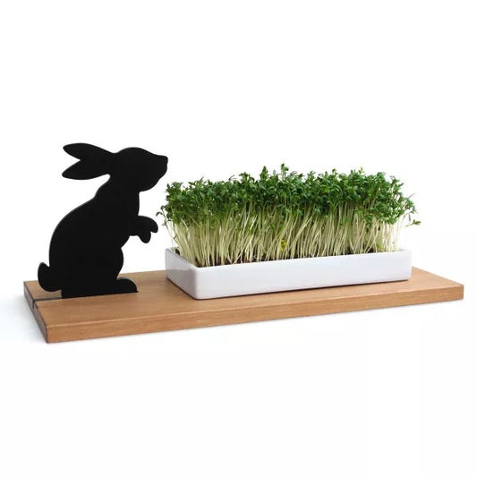 Kresseschale smart 'n' green