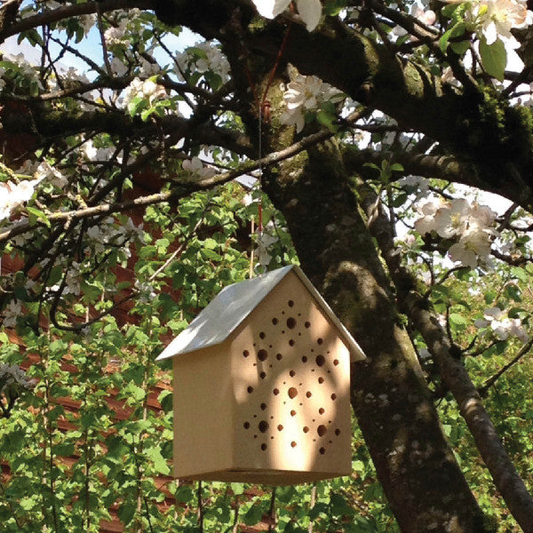Bienenhotel Bee's Inn